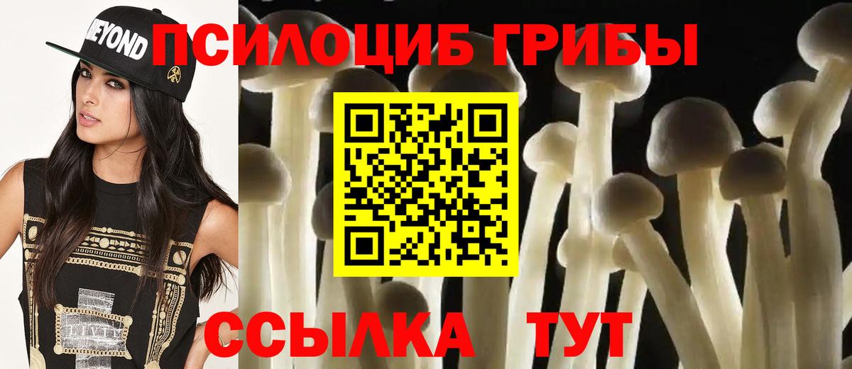 Псилоцибиновые грибы Psilocybe Усинск